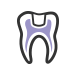 Endodontia